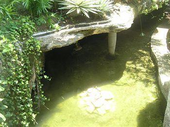 Hotel Tropical Casa Blanca Youth & Chic 2*
